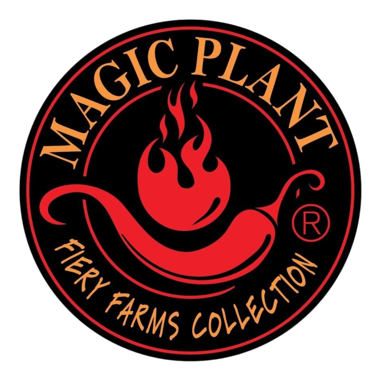 Magic Plant